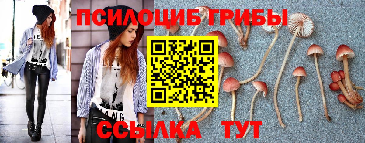 Псилоцибиновые грибы MAGIC MUSHROOMS Сланцы
