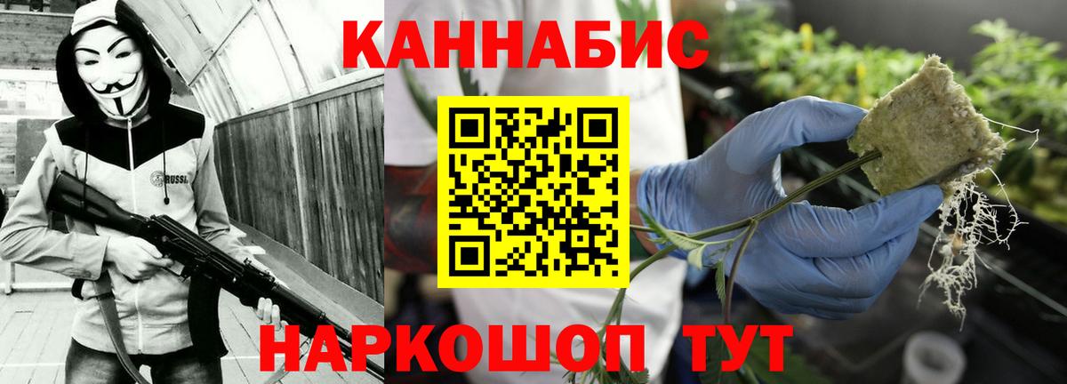 Каннабис SATIVA & INDICA Сланцы